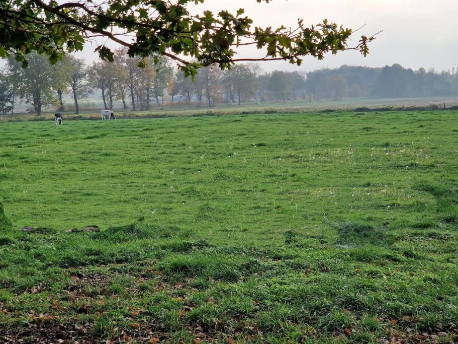 Gemuetliche Wohnung Direkt Am Kuestenkanal! Wardenburg Экстерьер фото